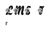 LMS Tulips Preview