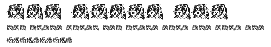 LMS Tiger Toy Preview