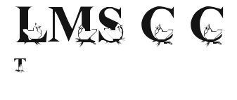 LMS Christmas Cardinals Preview