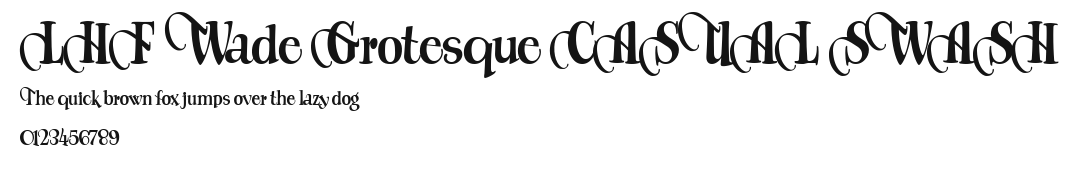 LHF Wade Grotesque CASUAL SWASH Preview