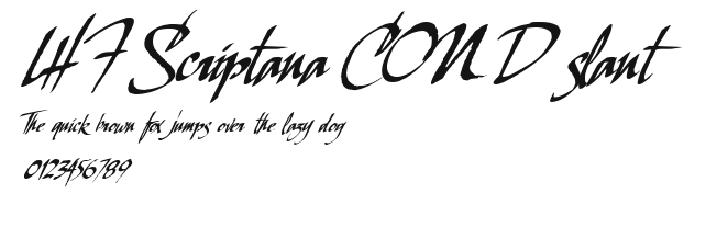 LHF Scriptana COND slant Preview