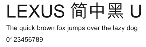 LEXUS 简中黑 U Preview