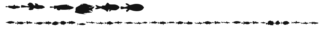 LE FISH Preview