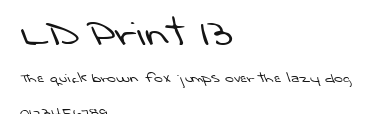 LD Print 13 Preview