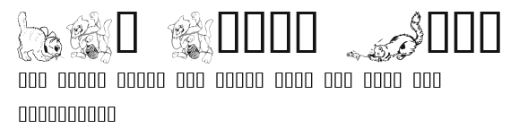 LCR Cat's Meow Preview