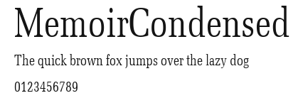 MemoirCondensed Preview
