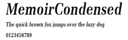 MemoirCondensed Preview
