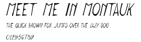 Meet me in Montauk Preview