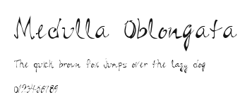 Medulla Oblongata Preview