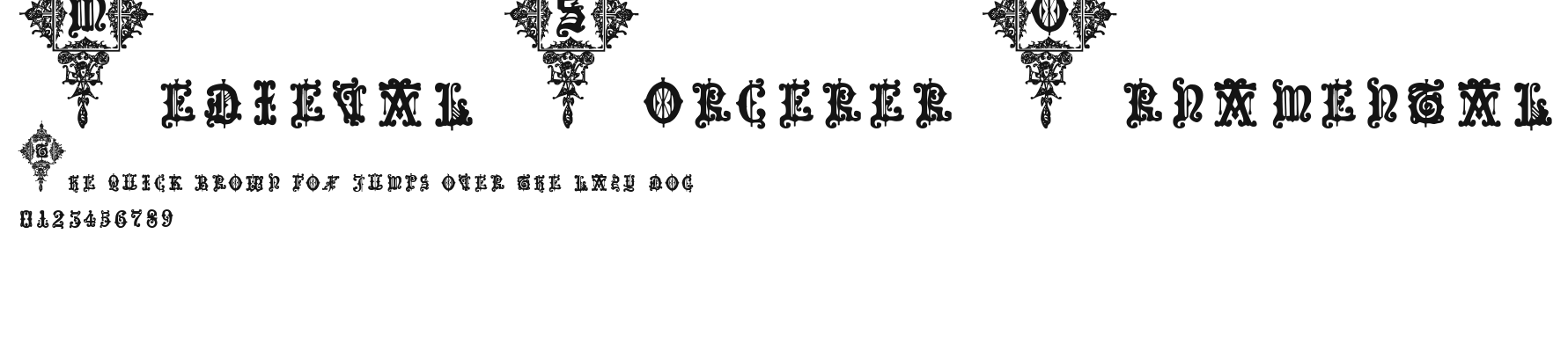 Medieval Sorcerer Ornamental Preview