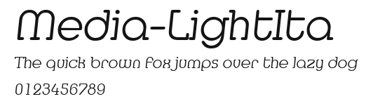 Media-LightIta Preview
