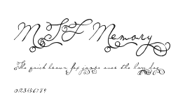 MTF Memory Preview