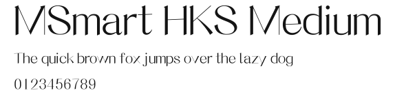 MSmart HKS Medium Preview