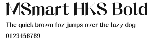 MSmart HKS Bold Preview