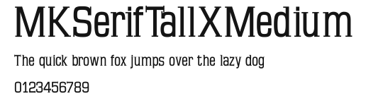 MKSerifTallXMedium Preview