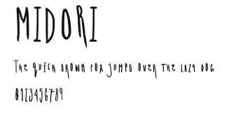 MIDORI Preview