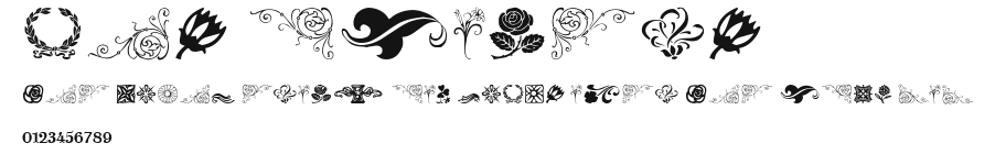 MCS Flowers Preview