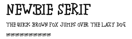 newbie serif Preview