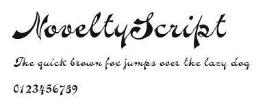 NoveltyScript Preview