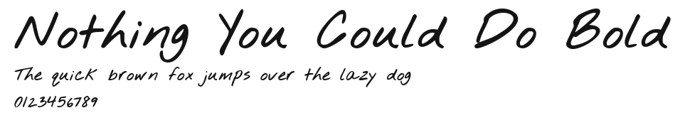 Nothing You Could Do Bold Preview