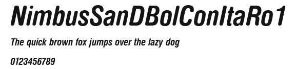NimbusSanDBolConItaRo1 Preview