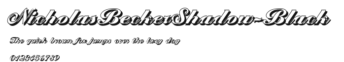 NicholasBeckerShadow-Black Preview