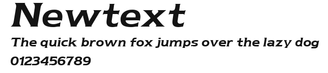 Newtext Preview
