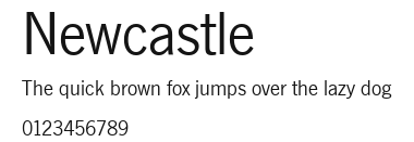 Newcastle Preview