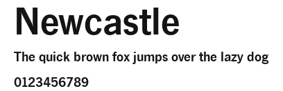 Newcastle Preview