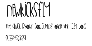 NewKicksFly Preview
