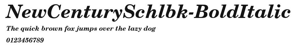 NewCenturySchlbk-BoldItalic Preview