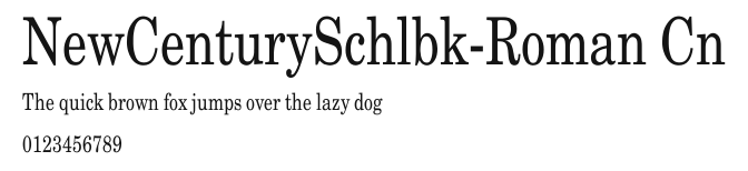 NewCenturySchlbk-Roman Cn Preview