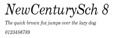 NewCenturySch 8 Preview