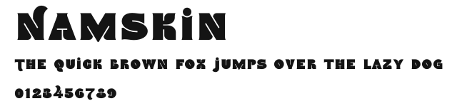 Namskin Preview