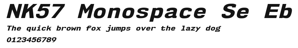 NK57 Monospace Se Eb.ttf
