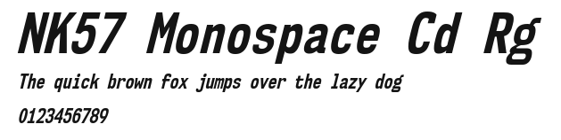 NK57 Monospace Cd Rg.ttf