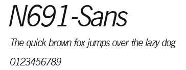 N691-Sans Preview