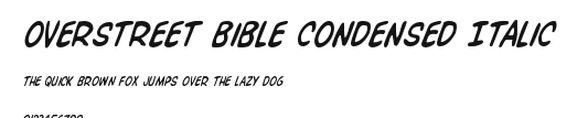Overstreet Bible Condensed Italic Preview