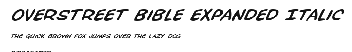 Overstreet Bible Expanded Italic Preview