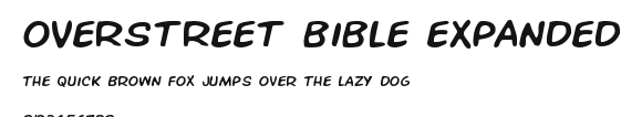 Overstreet Bible Expanded Preview