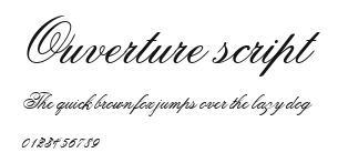 Ouverture script Preview