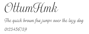 OttumHmk Preview