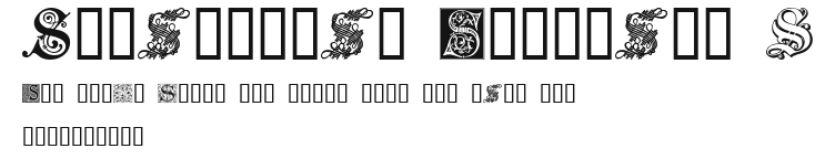 Ornamental Initials S Preview