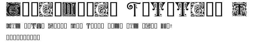 Ornamental Initials T Preview
