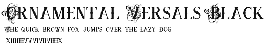 Ornamental Versals Black Preview