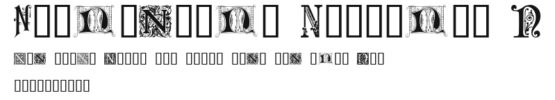 Ornamental Initials N Preview