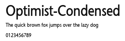 Optimist-Condensed Preview