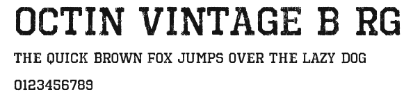 Octin Vintage B Rg Preview