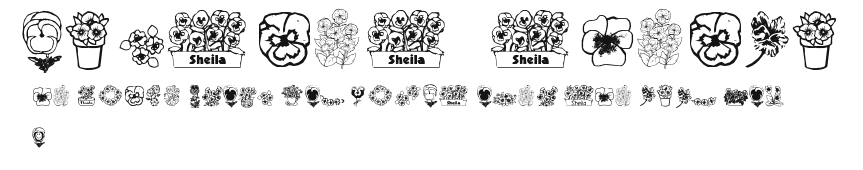 pansies4sheila2 Preview