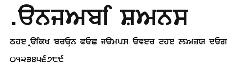 Punjabi Sans Preview